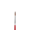 Picture of JUNIOR PAINTBRUSH ROUND
